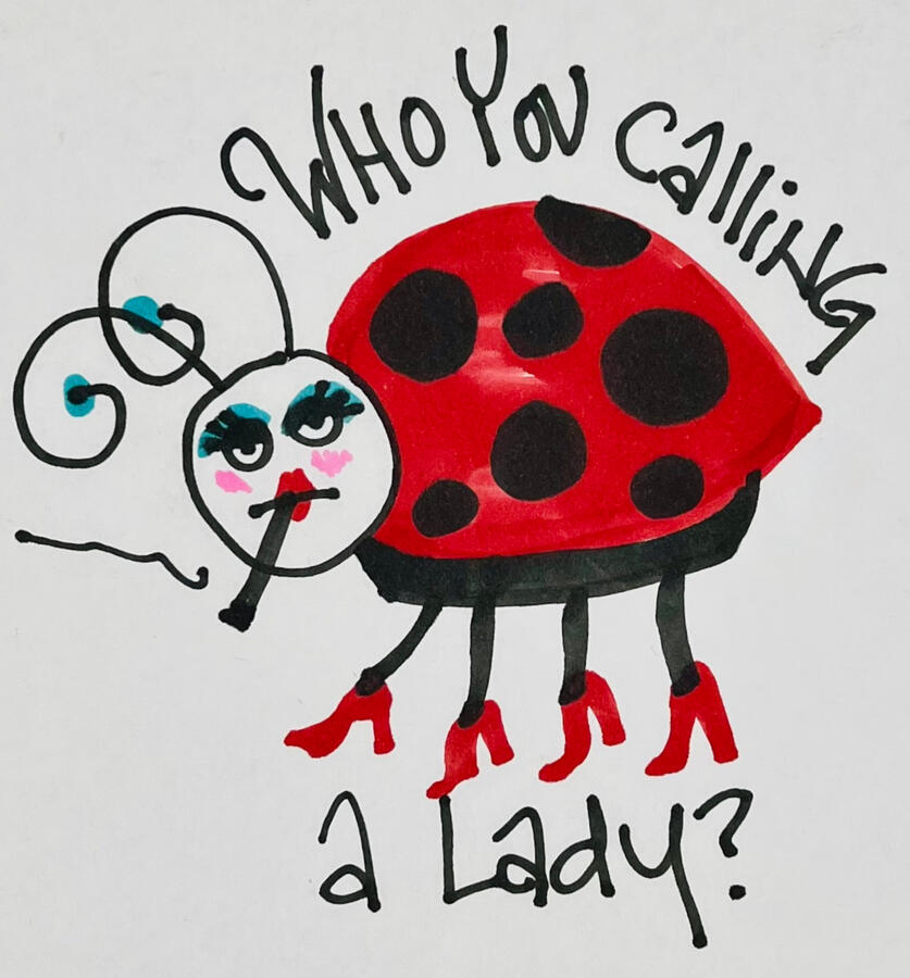 No ladies here! Just sassy bugs... Check out my sassy bug merch (and more) in my Etsy shop!